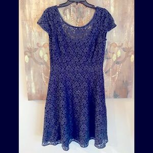 White House Black Market Navy Lace Fit-and-Flare Dress